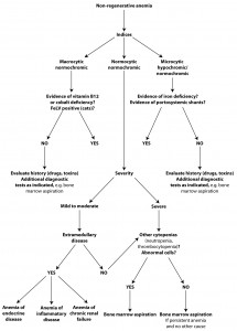 Non-regenerative anemia algorithm | eClinpath