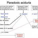Paradoxic aciduria