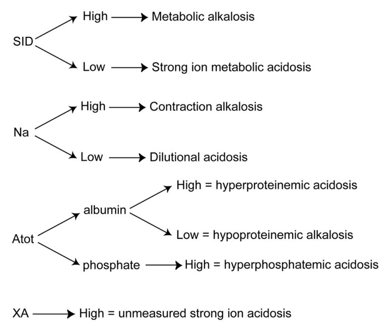 The strong ion approach to acid-base interpretation of chemistry panels ...