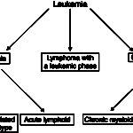 Leukemia classification