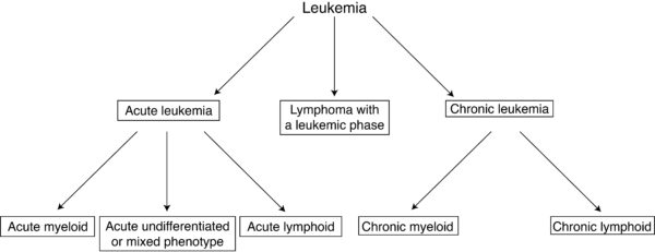 Leukemia classification